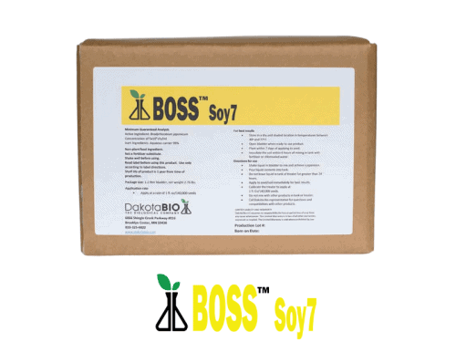 DB BOSS Soy7 1